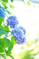 散歩の途中で。