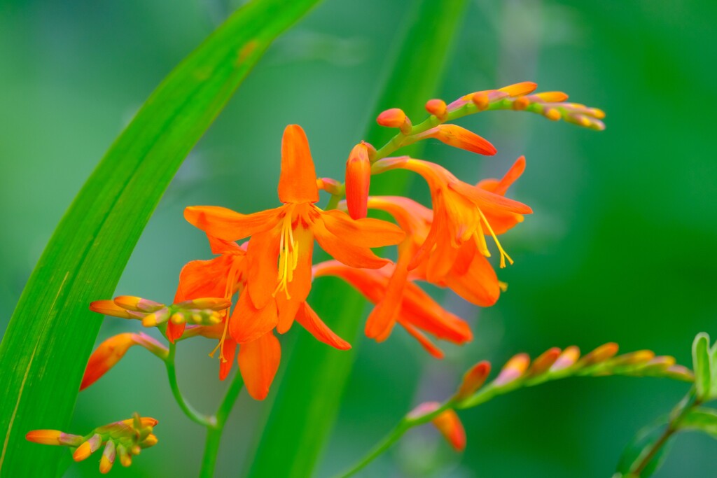 散歩の途中で。⑤