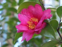 散歩の途中で。⑥