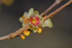 散歩の途中で。3