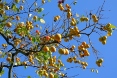 散歩の途中で。6