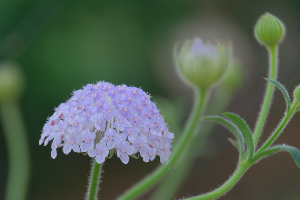 散歩の途中で。