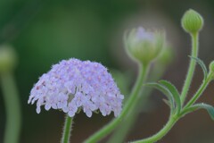 散歩の途中で。