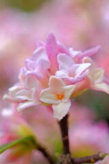 散歩の途中で。⑦