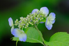 散歩の途中で。Ⅺ