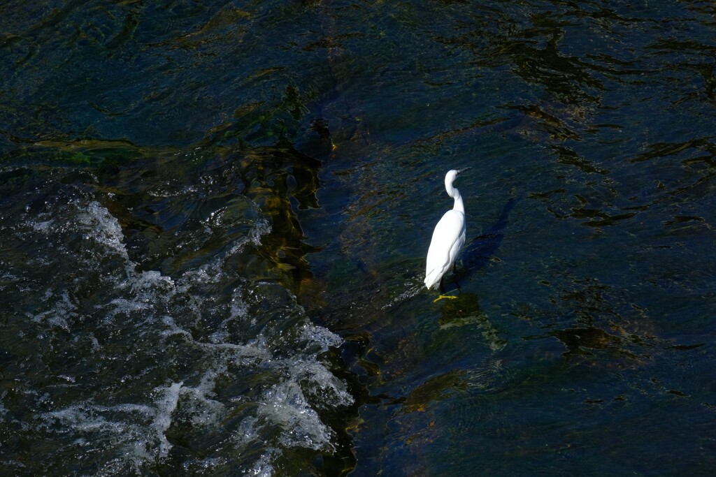 散歩の途中で。２