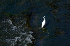 散歩の途中で。２