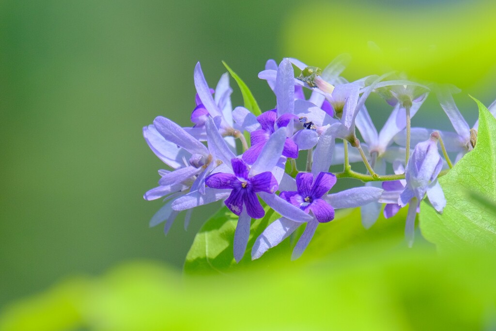 散歩の途中で。