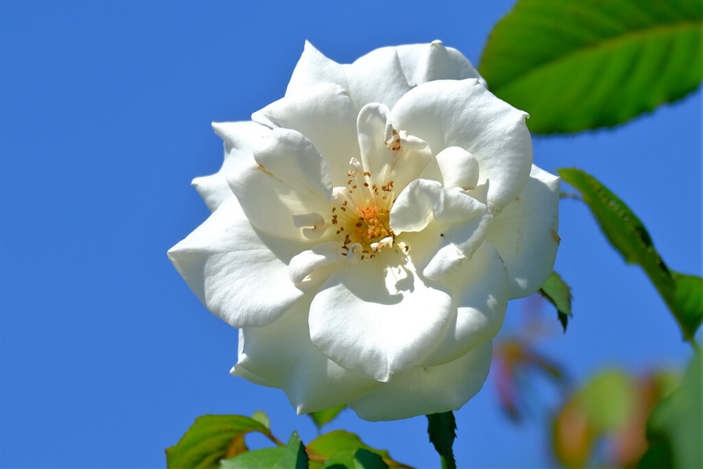 散歩の途中で。②