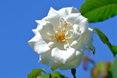 散歩の途中で。②