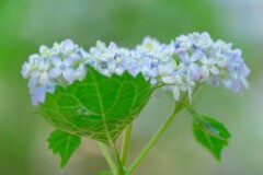 散歩の途中で。