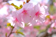 散歩の途中で。①