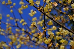 散歩の途中で。3