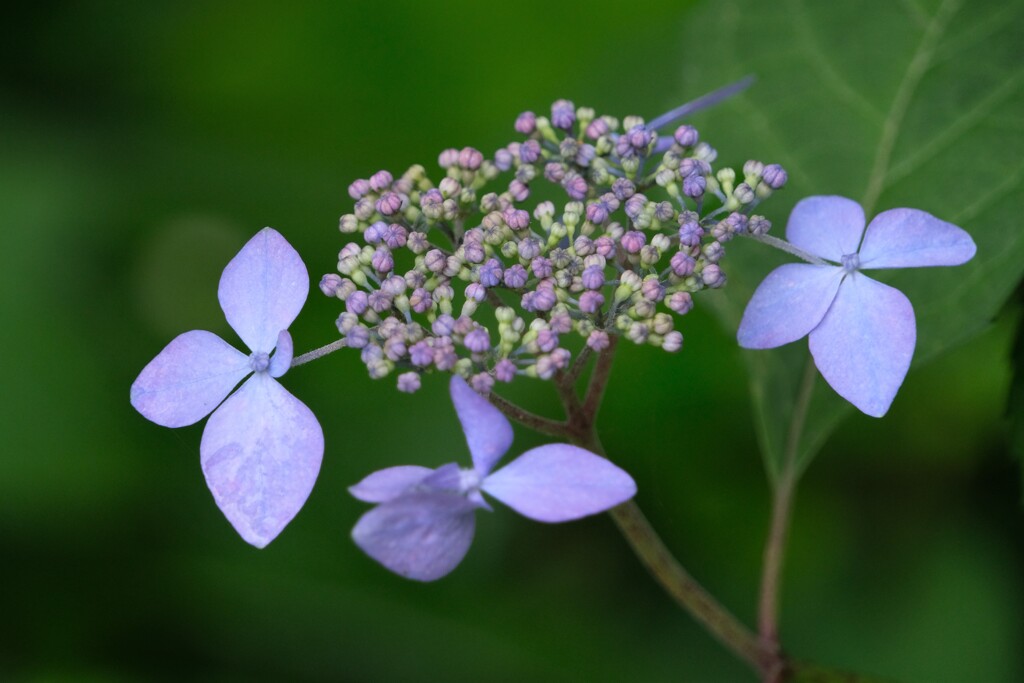 散歩の途中で。②