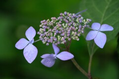 散歩の途中で。②