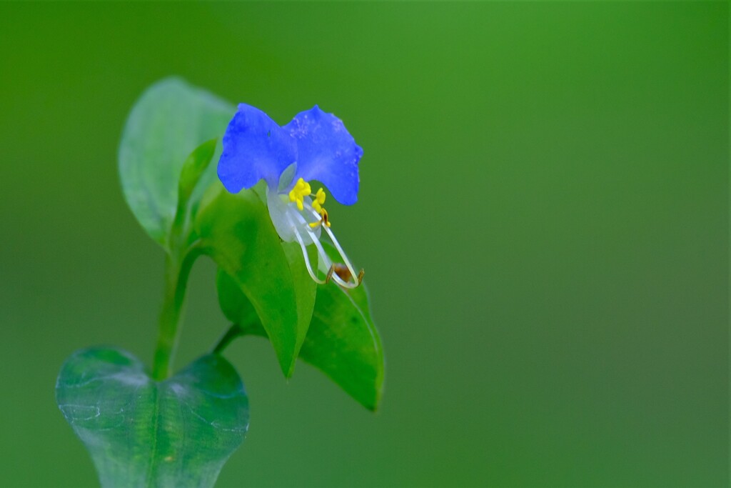 散歩の途中で。３