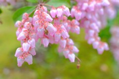 散歩の途中で。Ⅷ