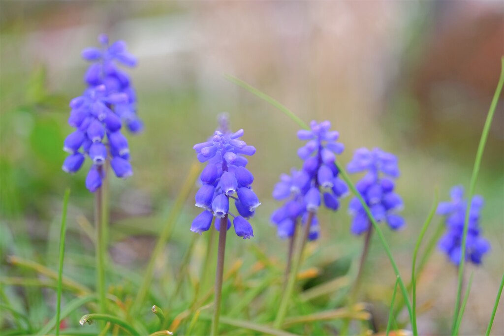 散歩の途中で。③