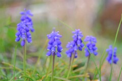 散歩の途中で。③