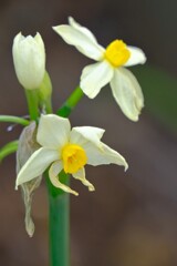 散歩の途中で。⑤