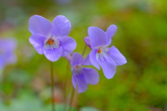 散歩の途中で。②