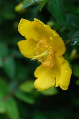 散歩の途中で。Ⅸ