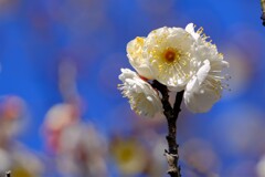 散歩の途中で。Ⅱ