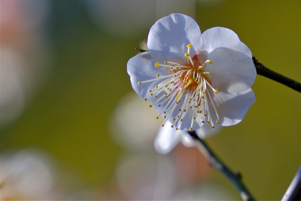 散歩の途中で。Ⅷ