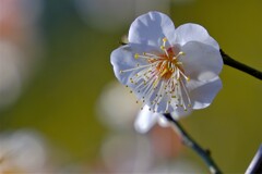 散歩の途中で。Ⅷ