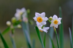 散歩の途中で。⑤