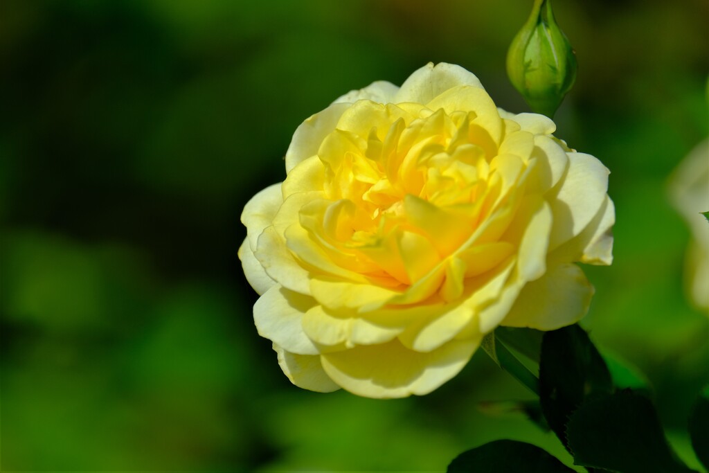 散歩の途中で。Ⅰ