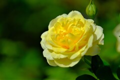 散歩の途中で。Ⅰ