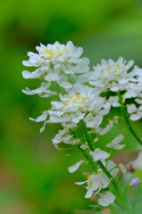 散歩の途中で。⑥