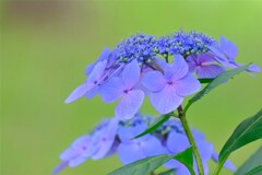 散歩の途中で。３