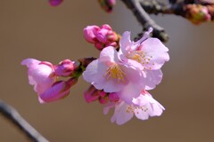 散歩の途中で。７