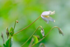 散歩の途中で。