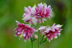 散歩の途中で。Ⅱ