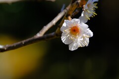 散歩の途中で。５