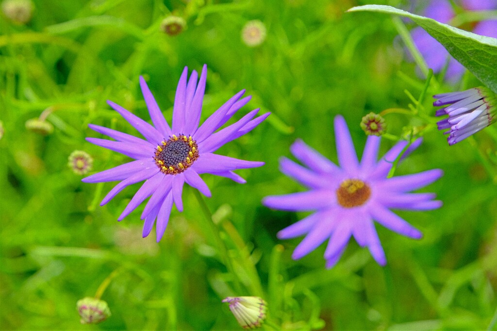 散歩の途中で。②