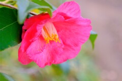 散歩の途中で。Ⅱ