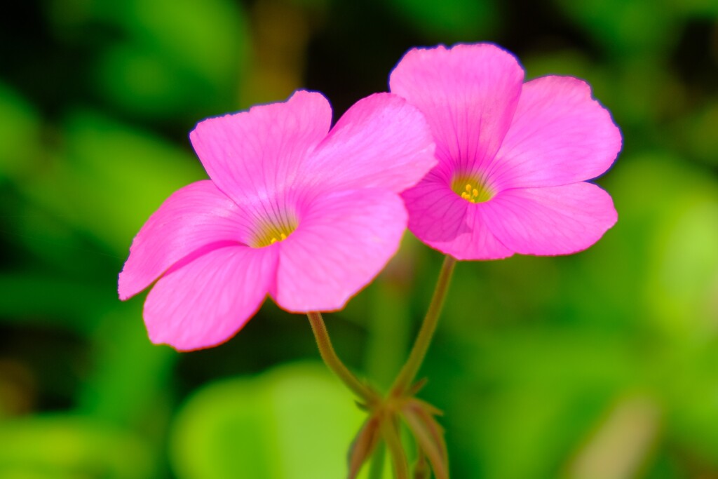 散歩の途中で。２