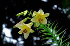 散歩の途中で。Ⅴ