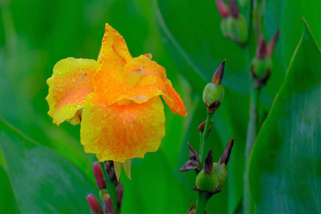 散歩の途中で。Ⅰ