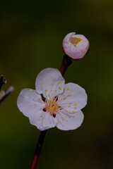 散歩の途中で。5