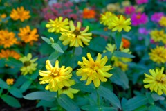 散歩の途中で。Ⅲ