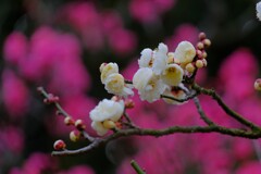 散歩の途中で。Ⅰ