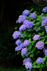 散歩の途中で。②