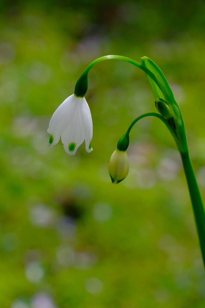 散歩の途中で。Ⅸ