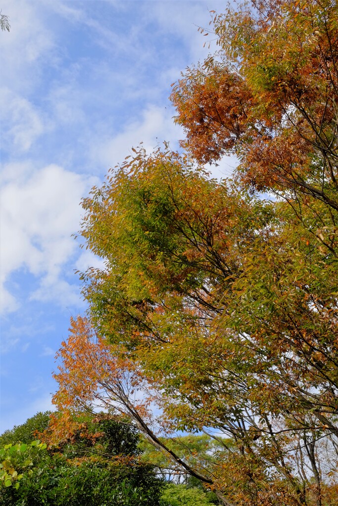 散歩の途中で。Ⅲ