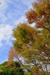 散歩の途中で。Ⅲ